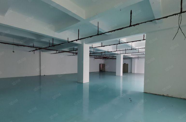 西乡650平全新装修厂房出租可以分租300和350平