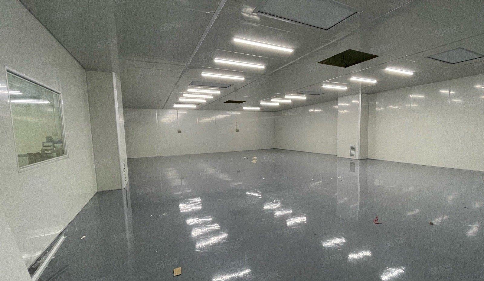 宝安松岗工业区精装修2000平方可分租500平方仓库厂房出租