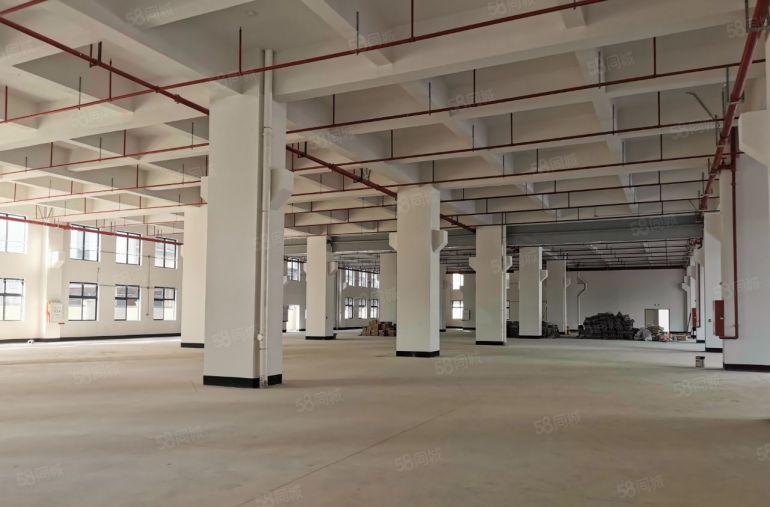 企石镇大型园区厂房50000平米厂房出租，大小面积都可以分租