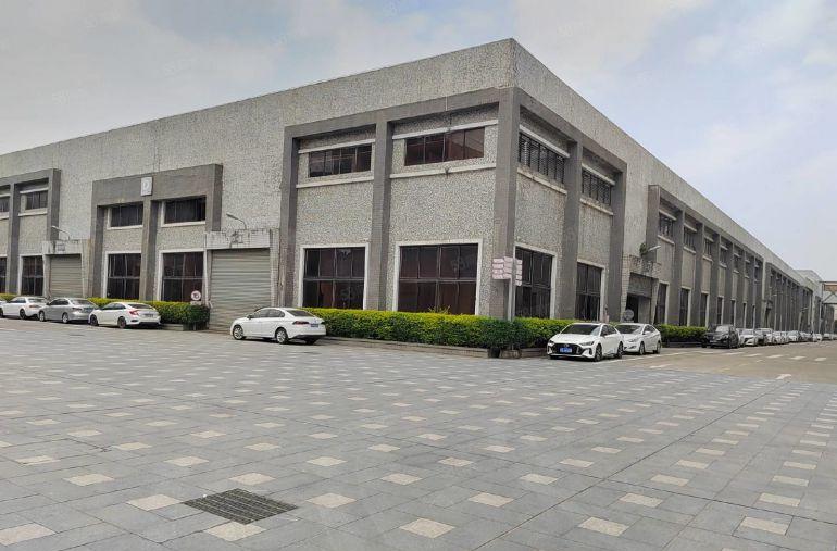 企石新出独栋单一层钢结构5000平方 滴水9米高 价格便宜