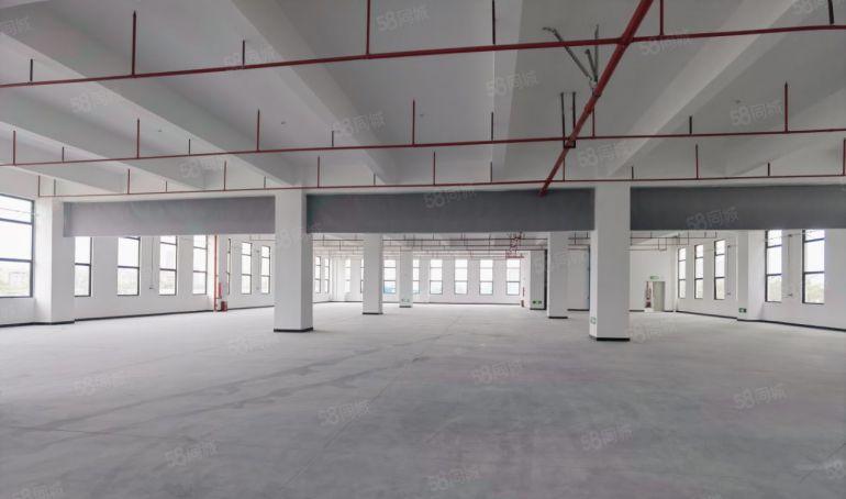 洪梅镇原房东全新红本独院厂房出租，实际面积出租，10块