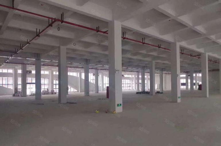 东莞市谢岗仓库仓储直租厂房出租独栋原房东水电齐全低价出租