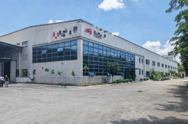 谢岗重工业单一层钢结构仓库厂房出租3000平方带牛角低价甩租