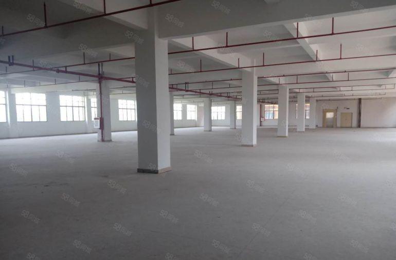 东莞市谢岗仓库仓储直租厂房出租独栋原房东水电齐全低价出租