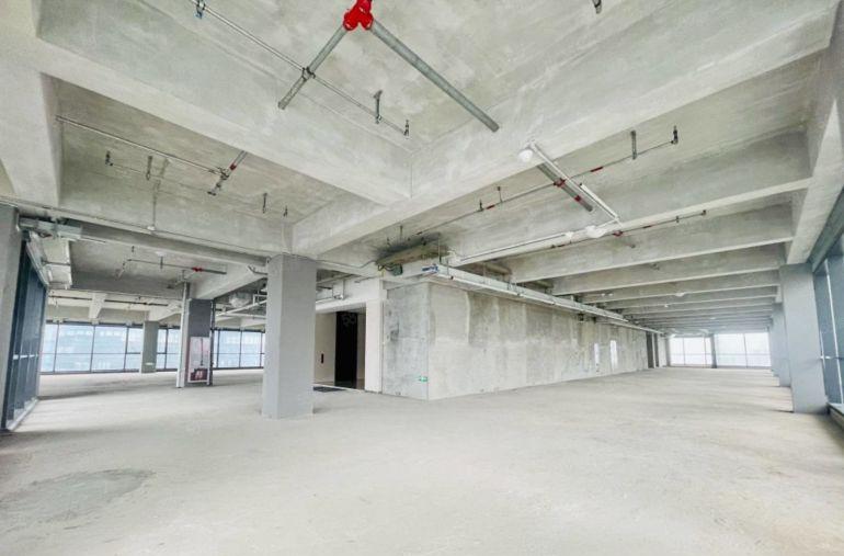 定制装修观澜产业园招商，开发商直租，可轻生产，生物医药