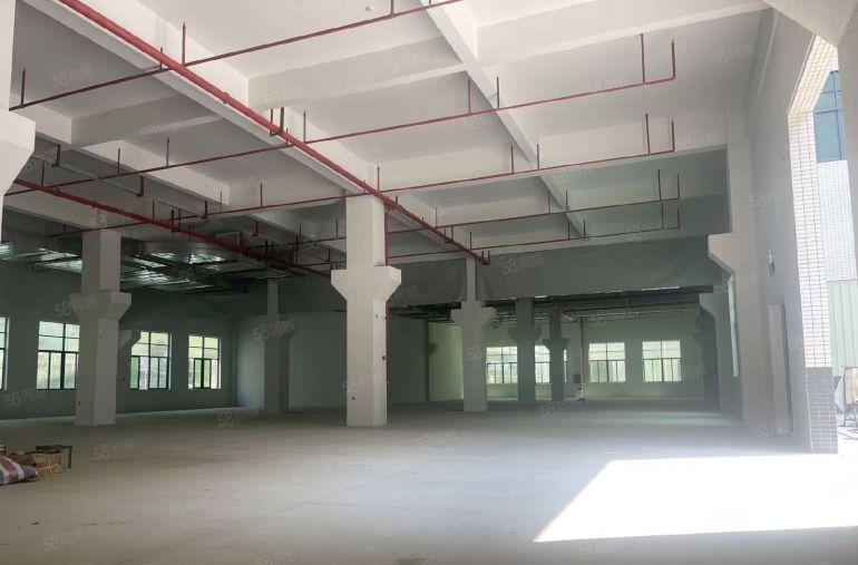 惠阳区平潭新出独门独院原房东31750平方红本厂房出租