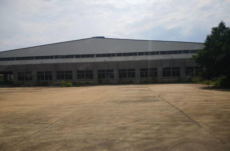 惠城区小金口火车北站附近新建钢构2000平方厂房出租