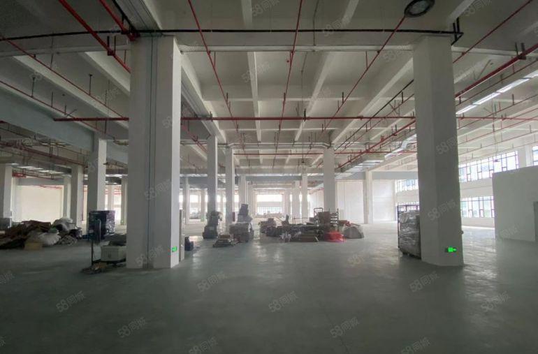 水口新区4500原房东全新红本食品厂自有厂房出租