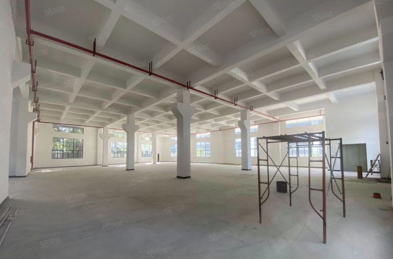 惠阳新圩原房东独院独栋4700平厂房周边无居民不限行业