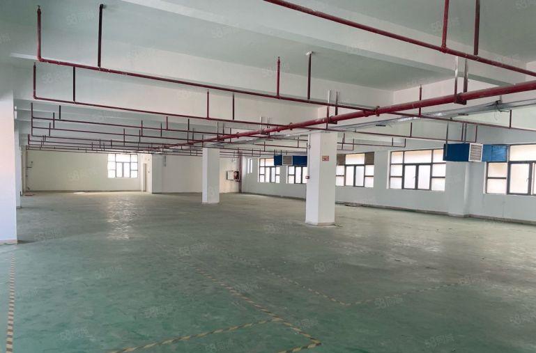 新圩临深南坑工业区600平现成装修办公室仓库厂房低价出租