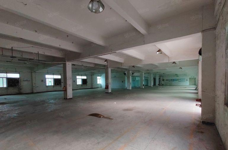 惠州惠阳新圩红本一手房东独院厂房5000平出租大小可分租免佣