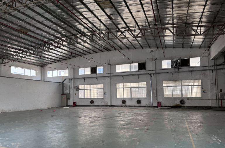 空地超大！新圩5000平独院钢构厂房仓库出租长度高达100米