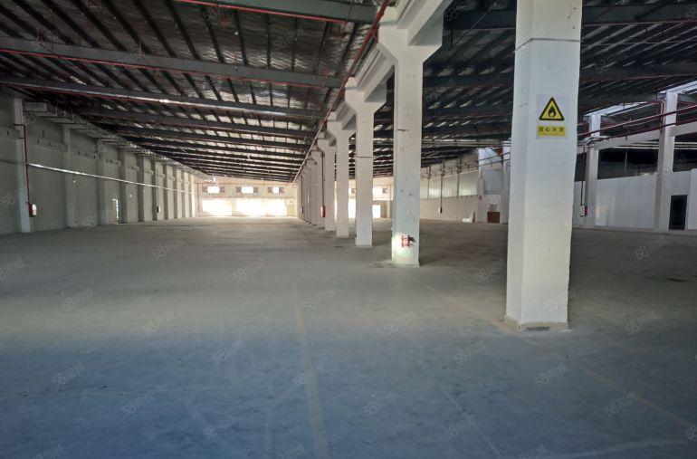 新圩原房东独栋钢构出租11893平形象高大上有红本