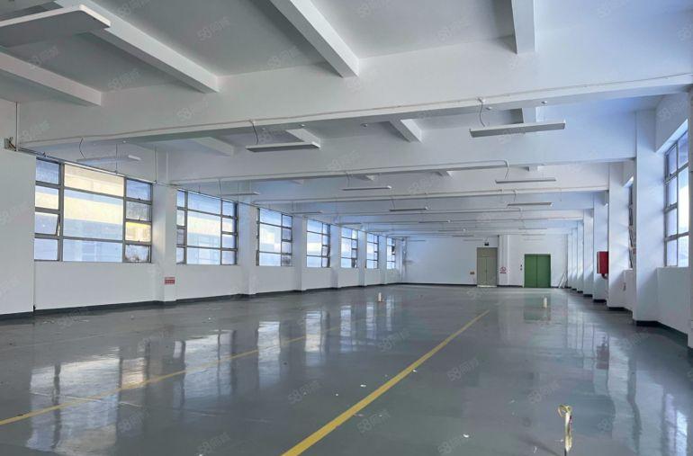 急租 秋长新出原房东单层1000平精装修办公室仓库厂房出租