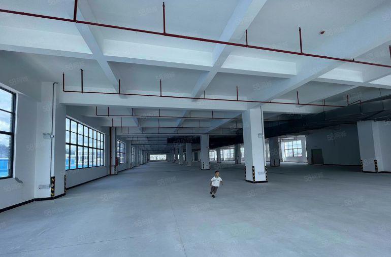 镇隆原房东独门独院厂房出租500平起分仓库小面积分租空地大