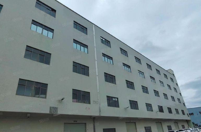 新圩精装修四楼出租850平方现成水电办公室