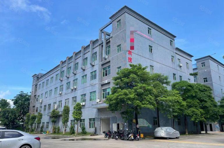 新圩南坑工业区新出楼上整层面积1000平厂房出租原房东无公摊