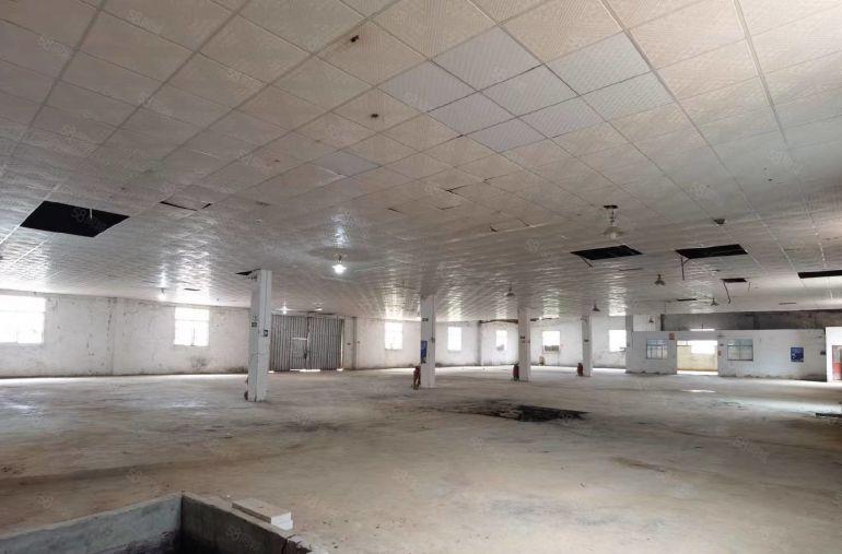 惠州市大亚湾原房东钢构厂房540平方空地大，靠大马路