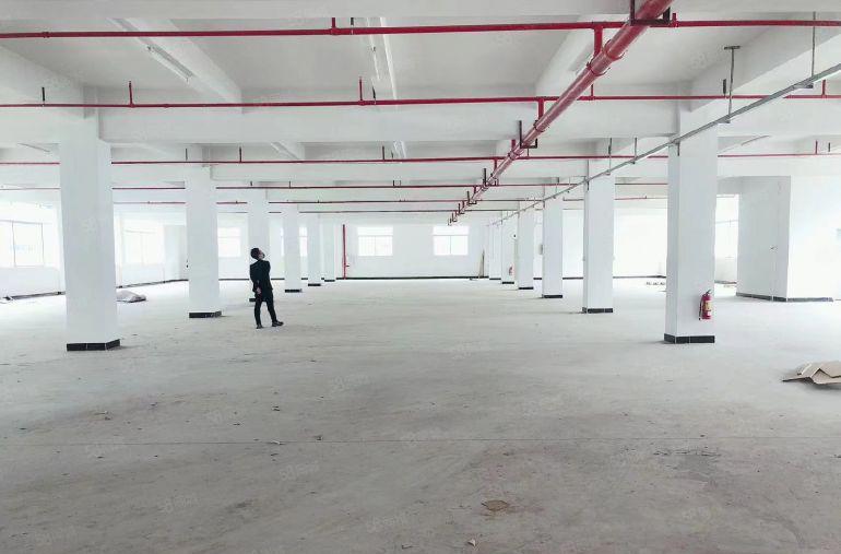 大亚湾西区新出8000平独栋标准厂房仓库低价出租！空地超大