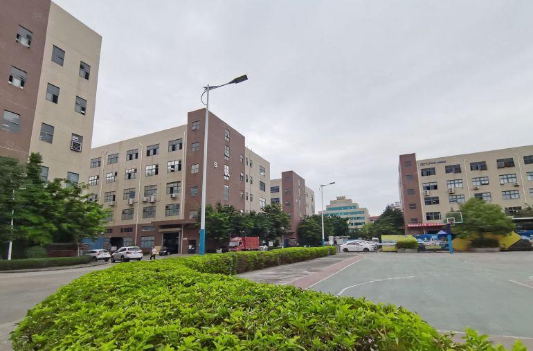 大亚湾发展商直租二楼厂房1500平方低价出租带精装修地坪漆