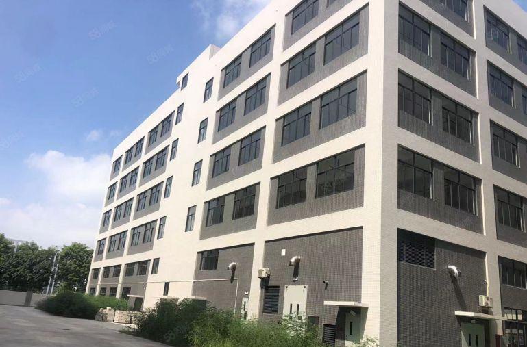 石湾镇标准厂房招租19300平方大小任意分道路宽敞