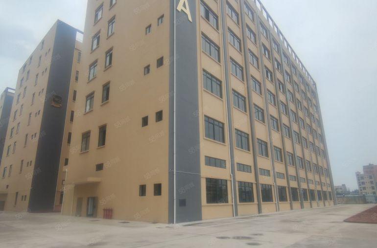 博罗罗阳30000平全新工业园厂房物流仓库出租可分租滴水8米