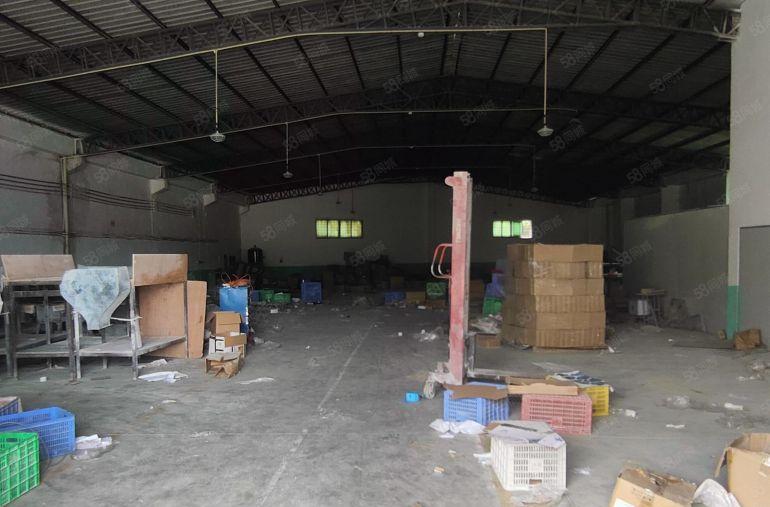 博罗园洲原房东8.8元砖墙到顶单一层独院2300平原房东厂房