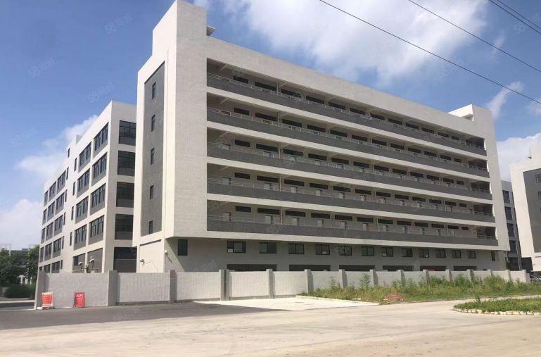 石湾镇标准厂房招租19300平方大小任意分道路宽敞