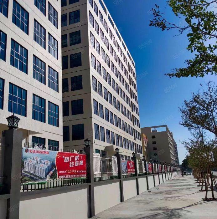 惠州石湾镇原房东全新红本丙二类厂房10万平米出租6块