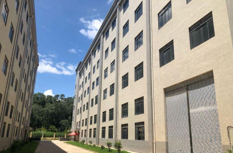 博罗县柏塘镇新出20000平米独院厂房