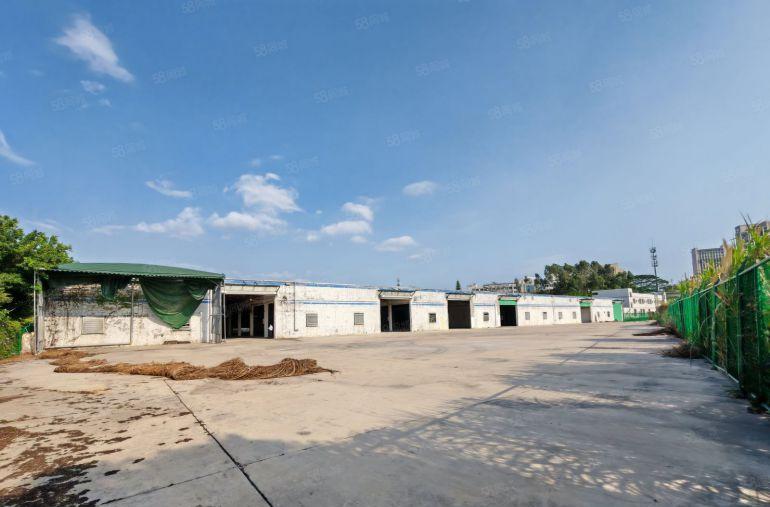 博罗龙溪原房东独门独院单一层钢构，高度10米