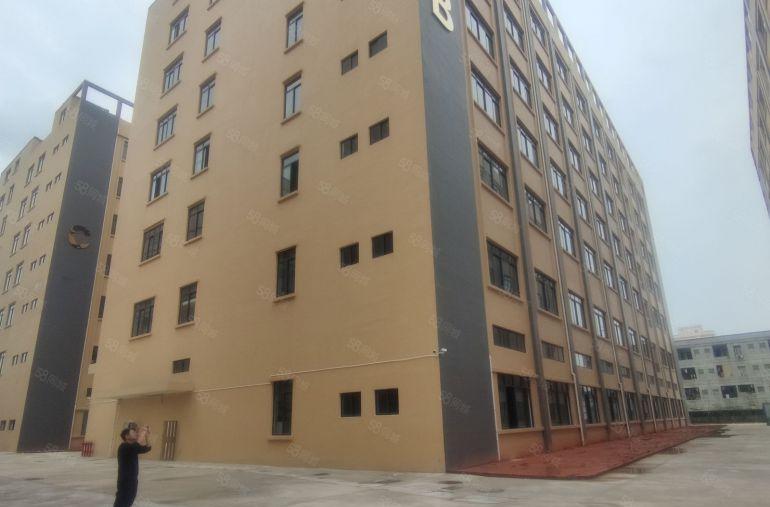 博罗罗阳30000平全新工业园厂房物流仓库出租可分租滴水8米