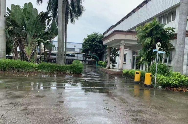 园洲镇红本花园式单一层滴水8米10600平方低价出租