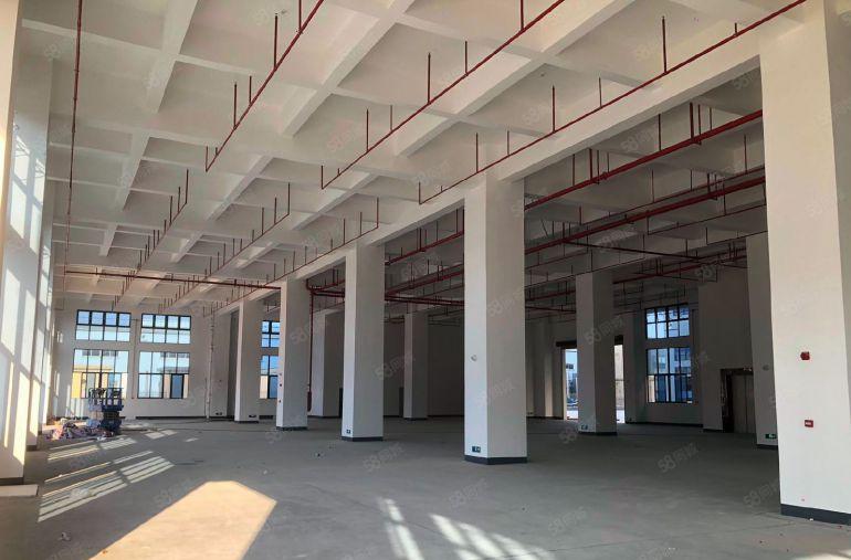 惠州石湾镇原房东全新红本丙二类厂房10万平米出租6块