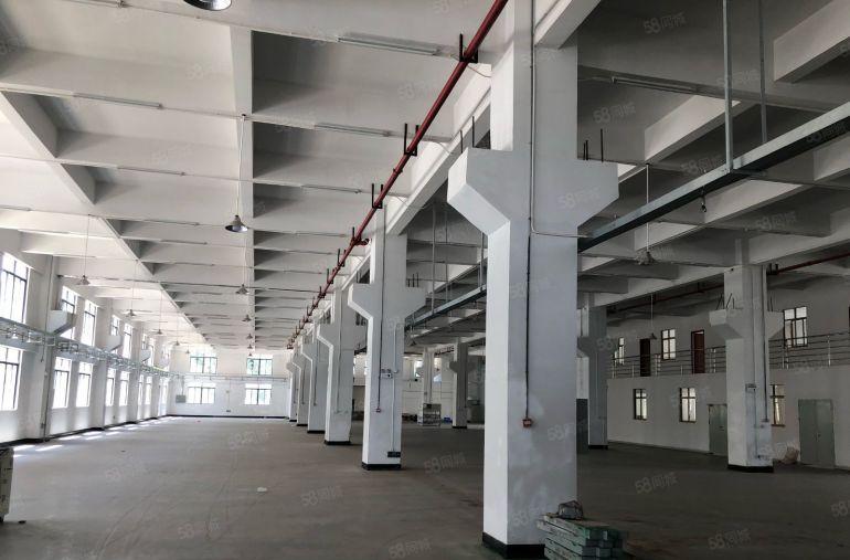 博罗县柏塘镇新出20000平米独院厂房