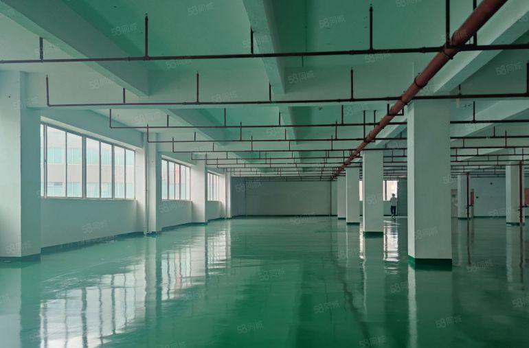 博罗罗阳镇3000平实际面积厂房仓库出租可分租国道边证件齐全