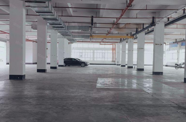 惠东白花10000平方独院厂房出租，一楼层高9米，