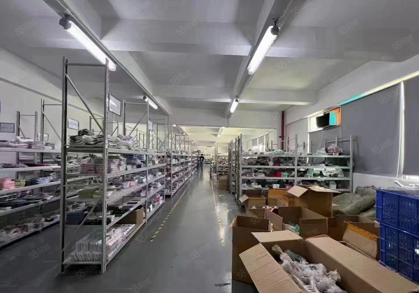 大浪新百丽，原房东，精装修618平厂房出租