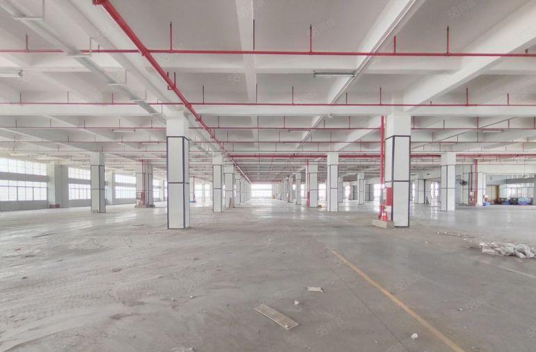 龙华大浪电商物流园厂房仓库出租1000平2000平2万平