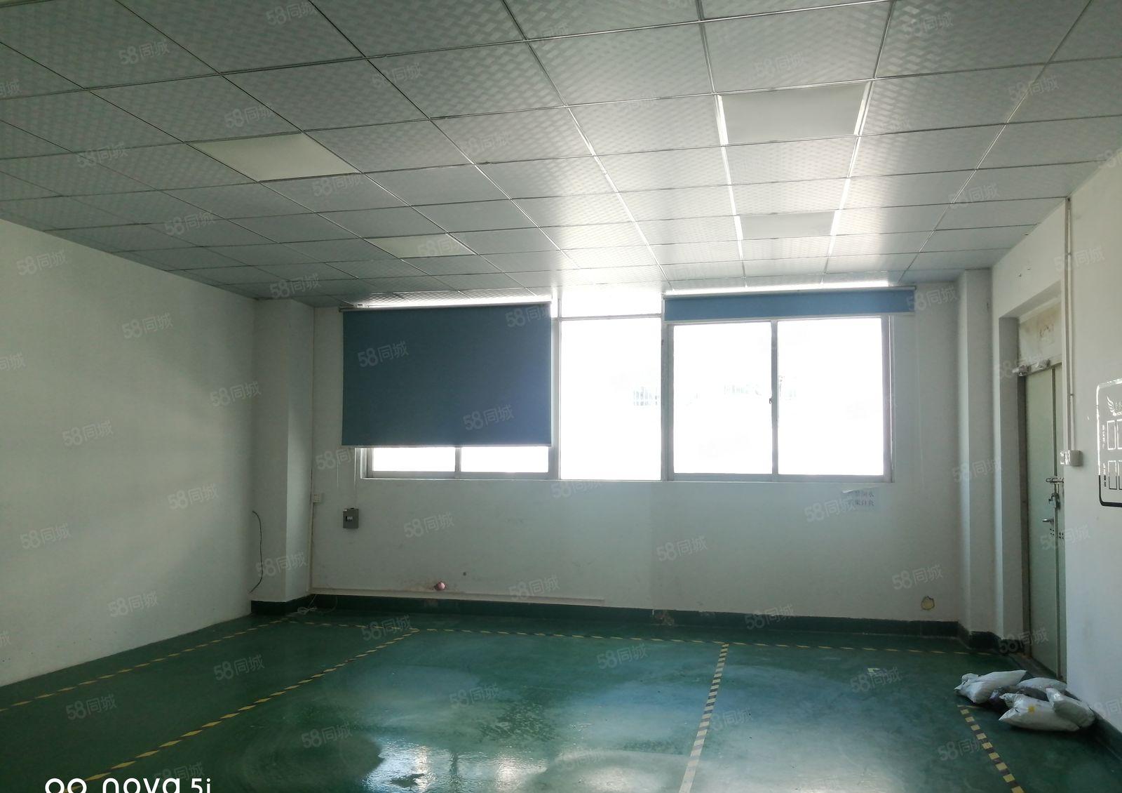 （原房东红本）龙华清湖宝能科技园独栋13500平标准厂房出租