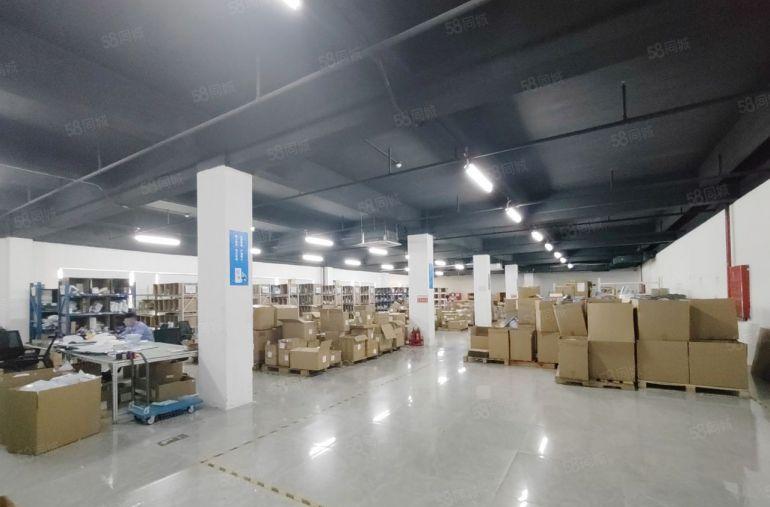 龙华大浪原房东电商园300平起租精装修厂房出租总面积5000