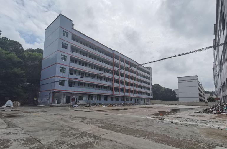 观澜高速口附近独院厂房单层面积3500平，空地6000平