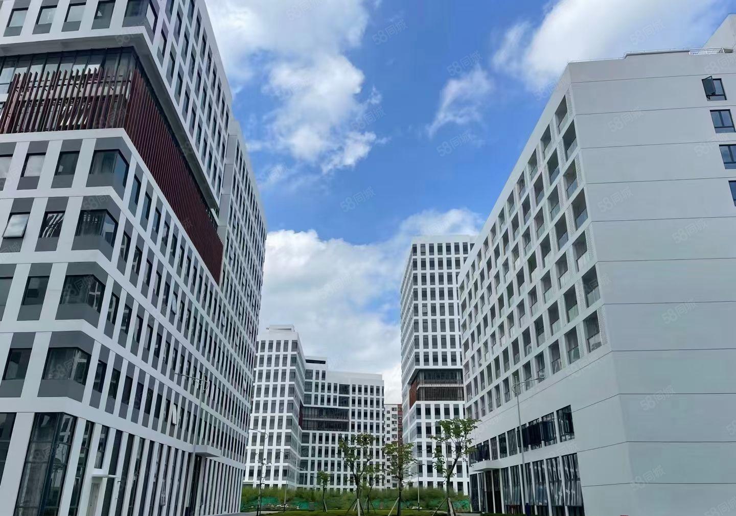 观澜 红本厂房 50000平米全新厂房出租 1000平米起租