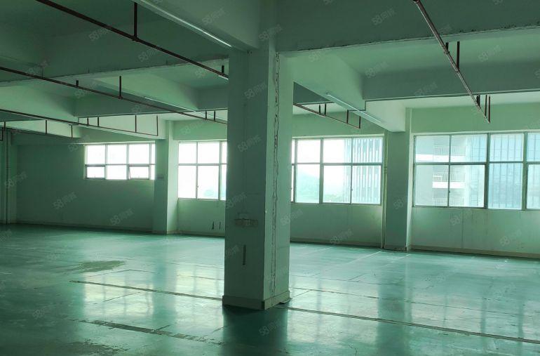 龙华大浪700平方厂房业主直租，首月租金减百分之10