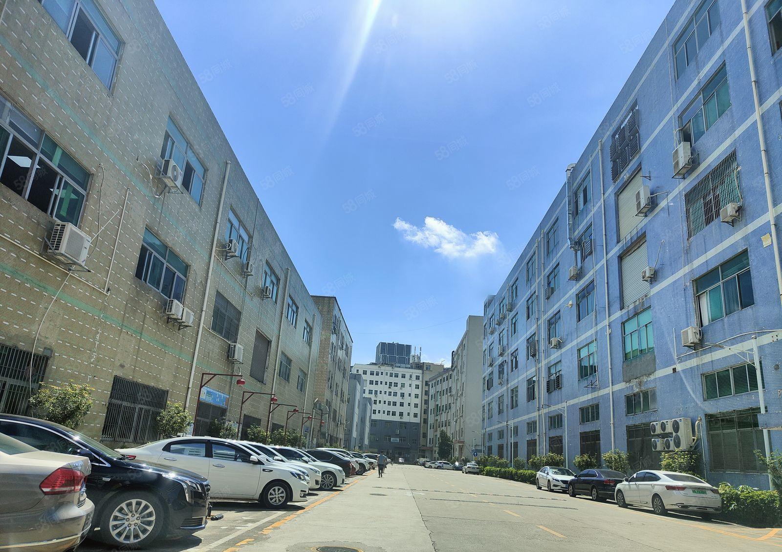 观澜高新区环观南路边上大型园区3楼整层1266平带办公室装修