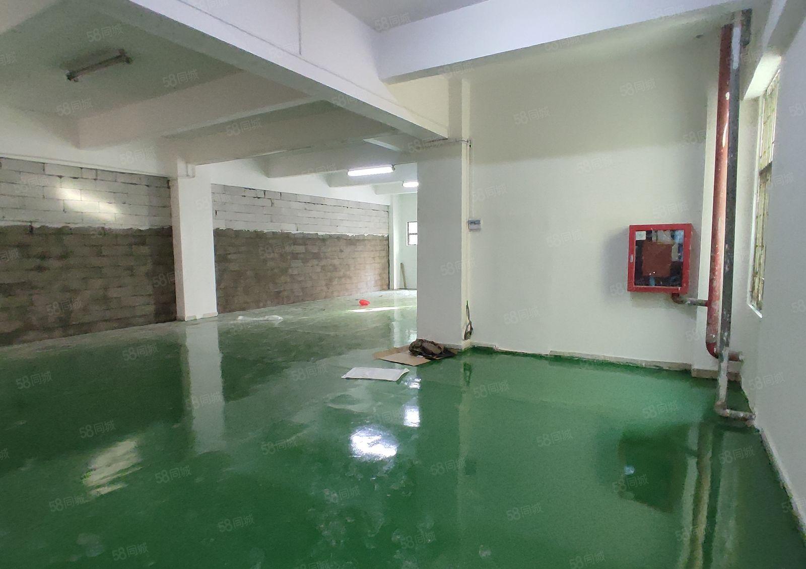 龙华油松精装修厂房仓库一楼280平米出租