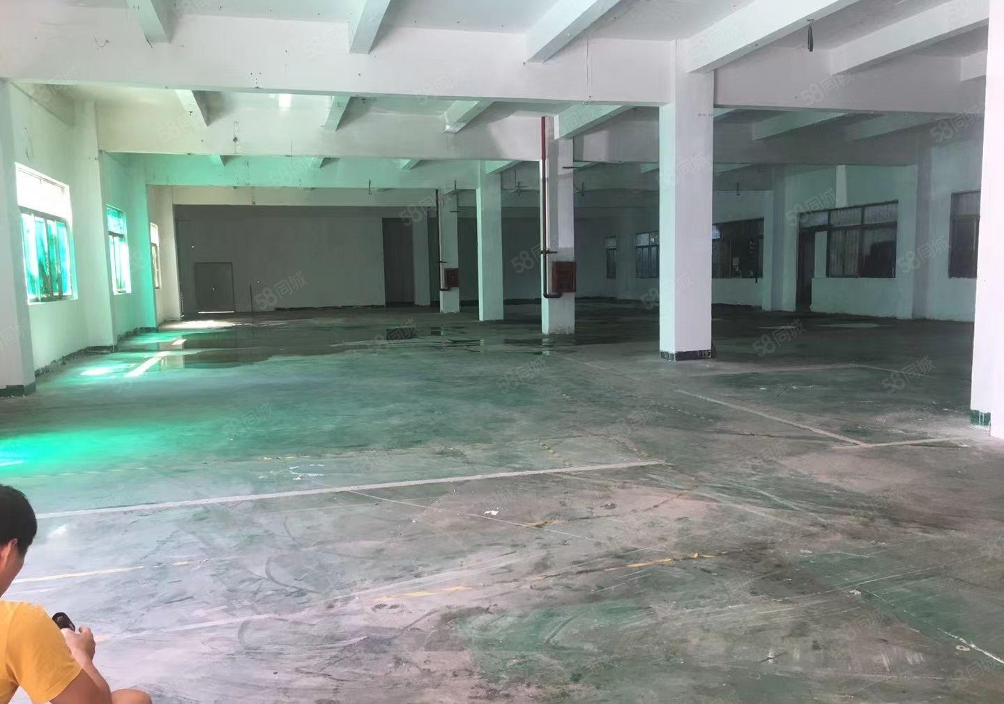 观澜福民近新天虹地铁口附标准厂房1楼整层1500平特价出租