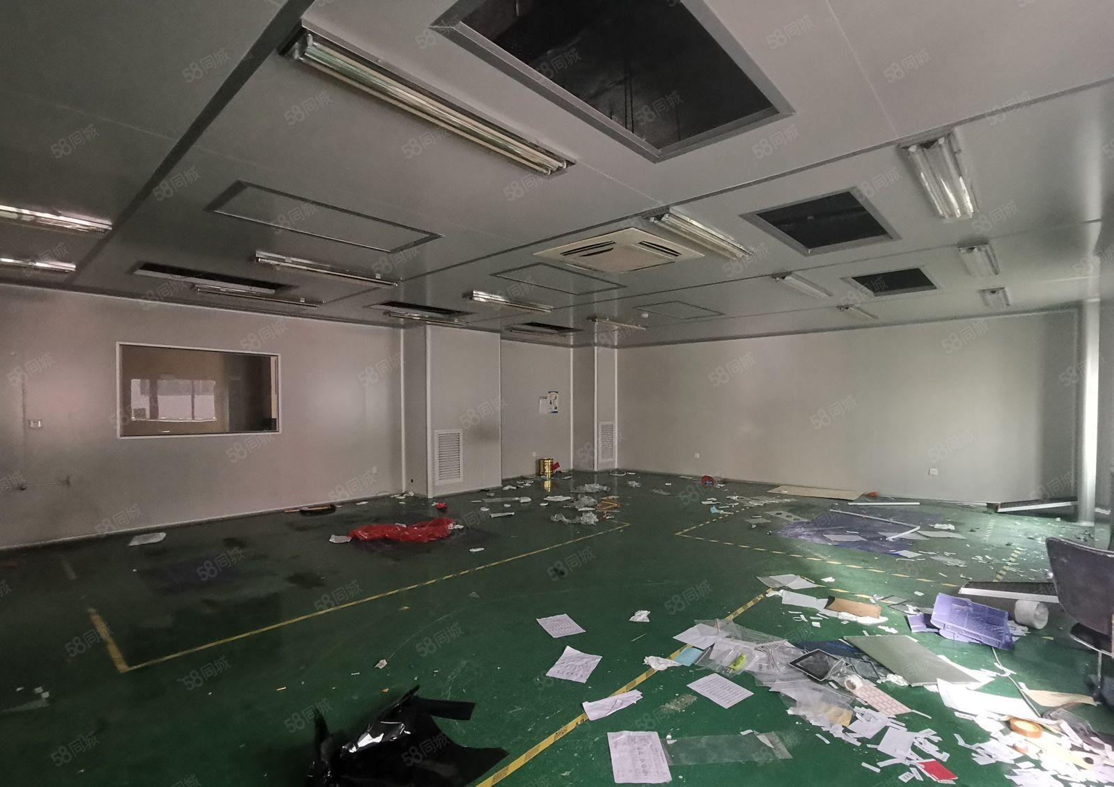 500至2000平大浪石凹工业园原房东仓库厂房无尘车间出租