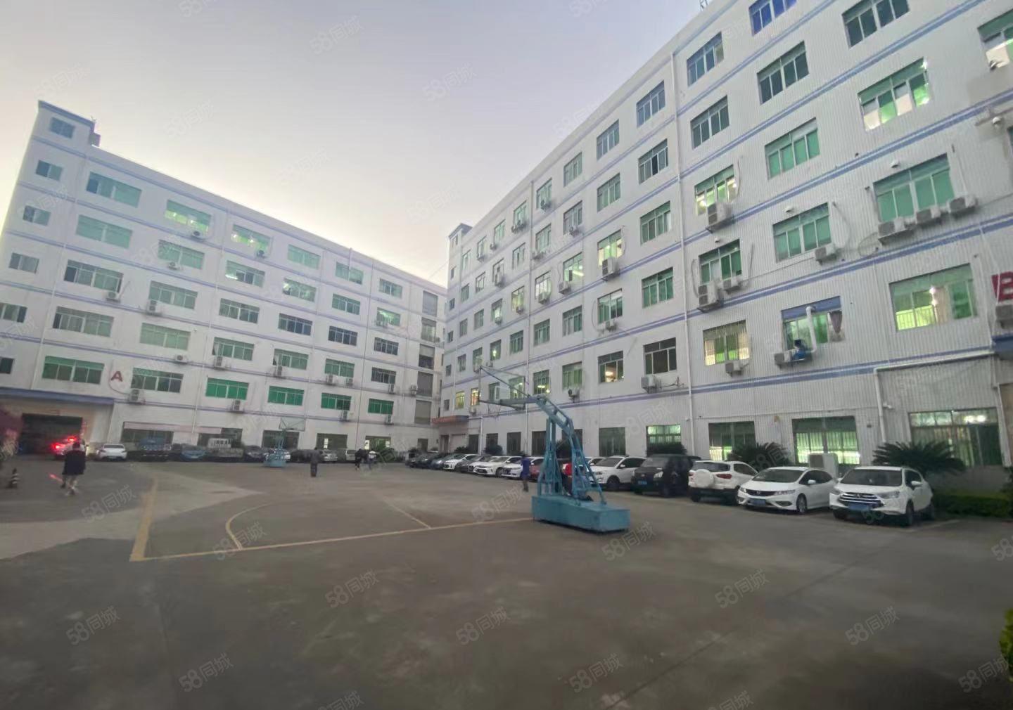 龙华大浪新出一楼1100平，适合机加工，价格美丽