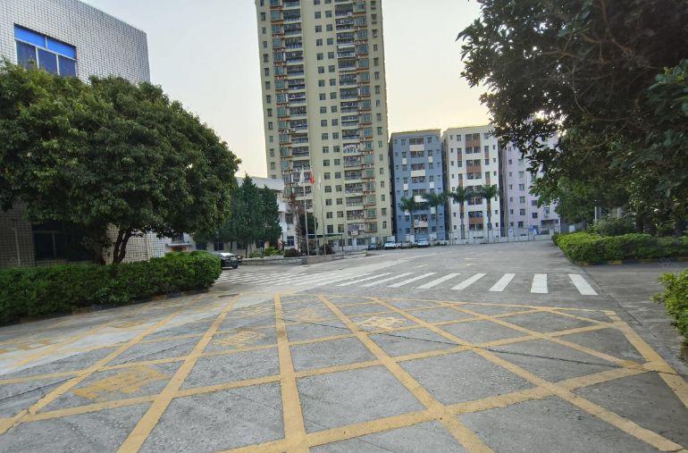 龙华原房东独院3万平厂房出租共5栋钢构8000平一楼仓库招租